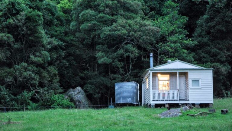 the fold illawarra ben ricketts environmental preserve cabin with light 768x432