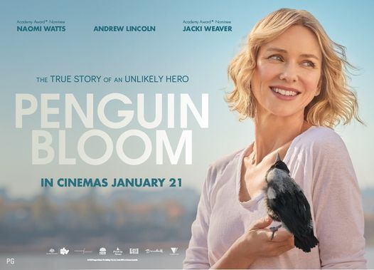 the fold illawarra anitas cinema penguin bloom 2020