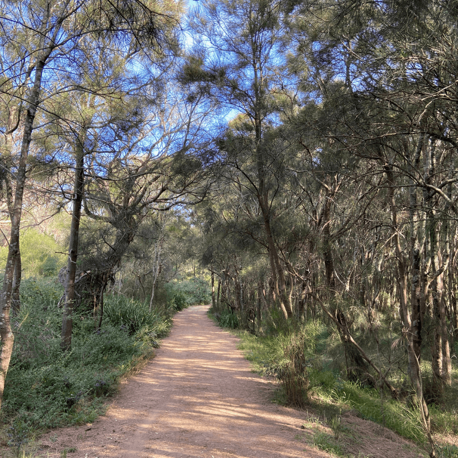 Puckeys Estate Nature Reserve Walk – Bushwalk