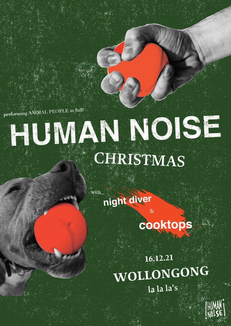the fold illawarra human noise christmas w cooktops night diver min 768x1086