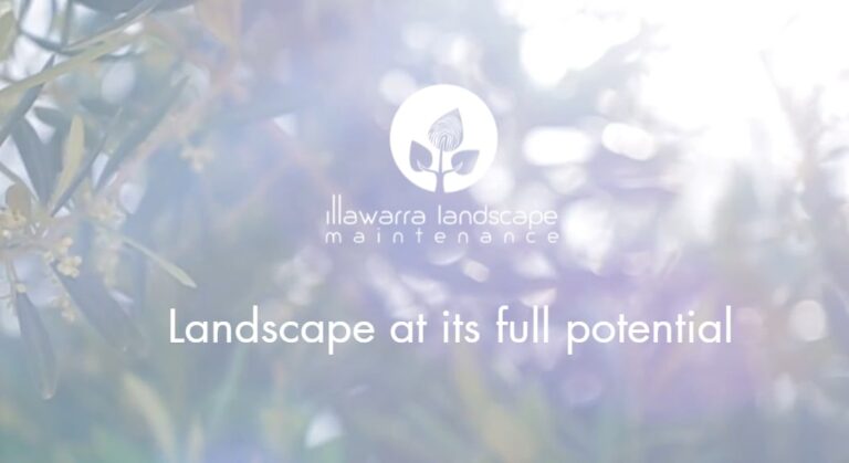 the fold illawarra illawarra landscape maintenance 768x419