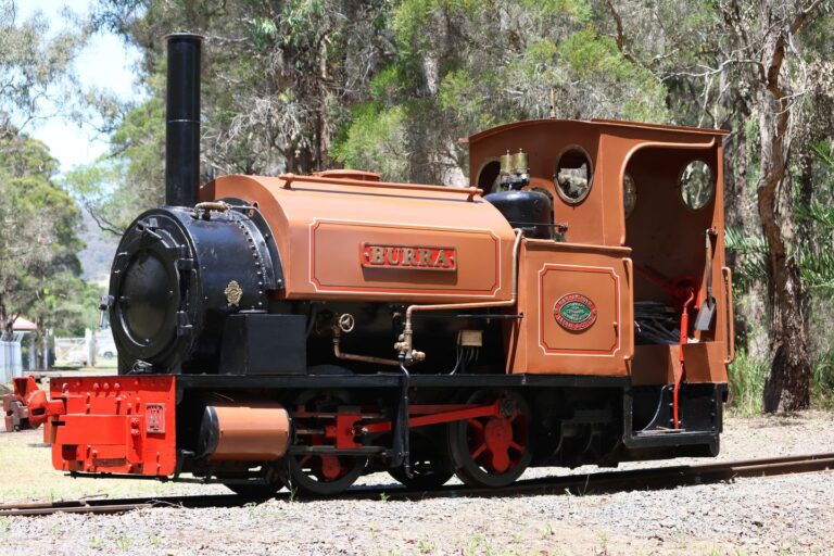the steamer 2 768x512